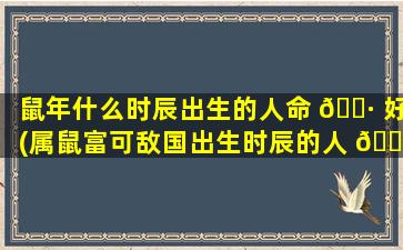 鼠年什么时辰出生的人命 🕷 好(属鼠富可敌国出生时辰的人 🌿 )